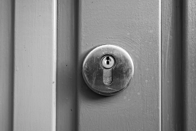 lock, pin tumbler lock, yale lock, cylinder lock, keyhole, door, access, security, safety, metal, gray security, gray door, gray safety, gray metal, lock, cylinder lock, cylinder lock, cylinder lock, keyhole, keyhole, keyhole, keyhole, keyhole. Limiting a connector's access to required records