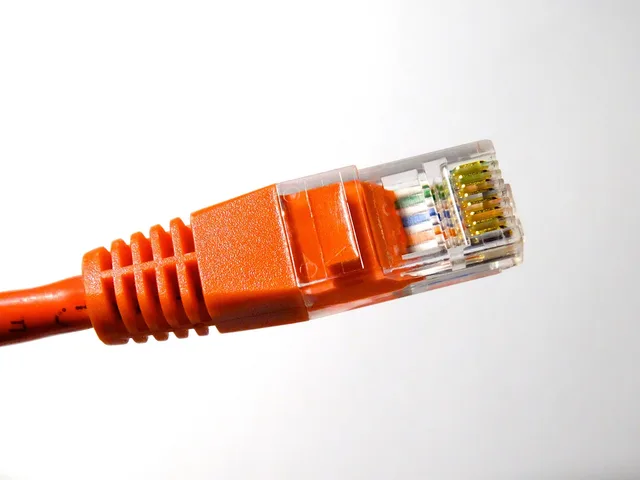 lan plug, connection, lan, www, internet, intranet, data cable, data transfer, network, network cable, lan, lan, lan, intranet, intranet, intranet, intranet, intranet. Normalising identifiers across connected applications