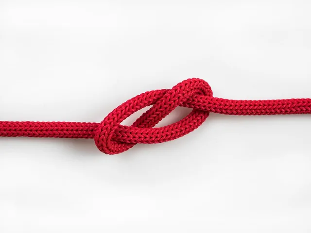 rope, tied, knot, intertwined, cord, red rope, closeup, rope, rope, rope, rope, rope, knot, knot, knot, knot. Separating retryable failures from invalid data