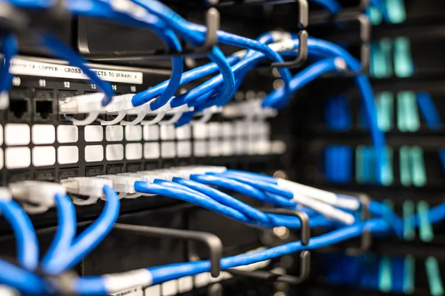 Blue plastic wires with white tips connected to server and provide access to information. Webhooks versus scheduled API polling